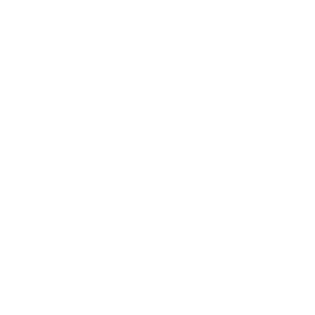 creditbureaus
